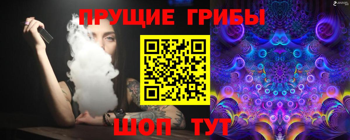 Псилоцибиновые грибы Psilocybine cubensis Ликино-Дулёво